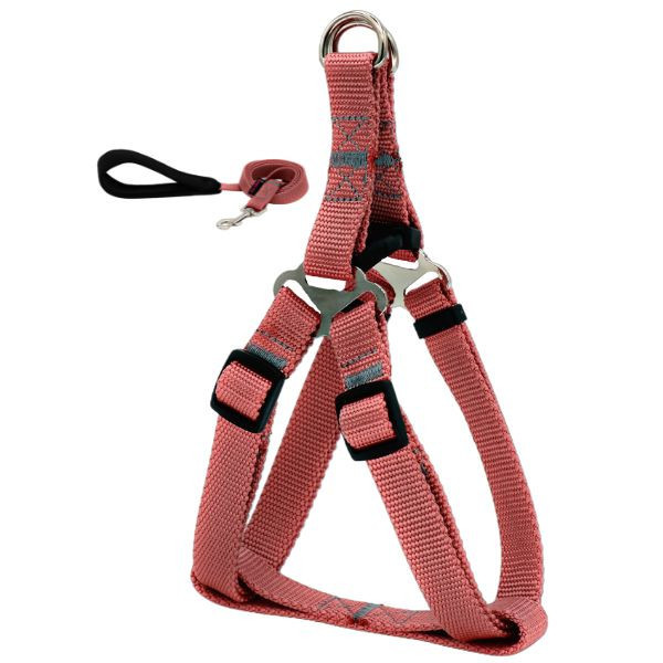 قلاده کتفی نژاد کوچک جذاب