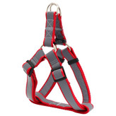 ست لید و قلاده کتفی شبرنگ برای نژاد متوسط تپلی