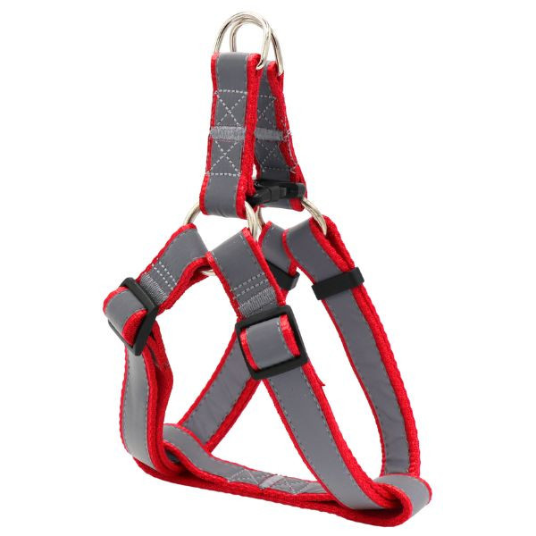 ست لید و قلاده کتفی شبرنگ برای نژاد متوسط تپلی