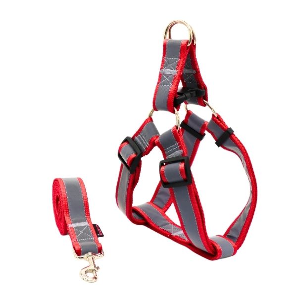 خرید قلاده محکم با ضمانت