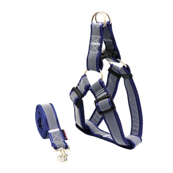 قلاده کتفی نژاد بزرگ شبرنگ همراه با لیش