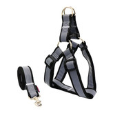 خرید قلاده کتفی سگ نژاد بزرگ شبرنگ