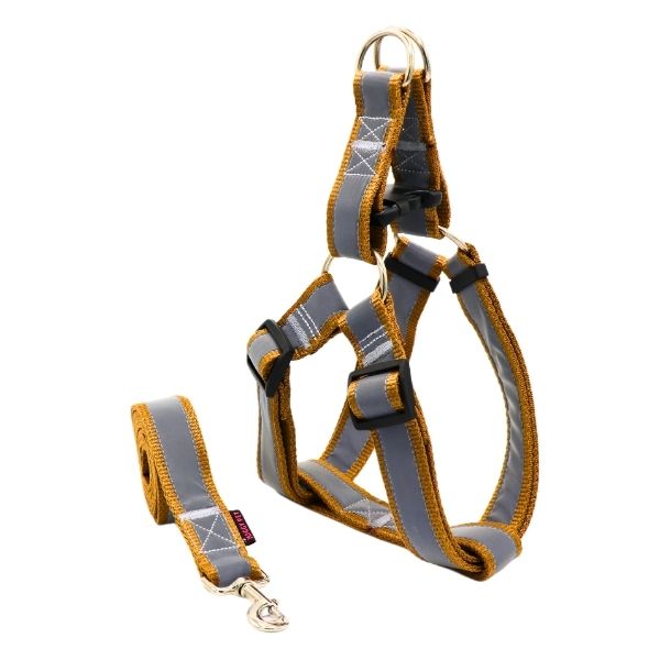 قیمت کتفی نژاد بزرگ شبرنگ