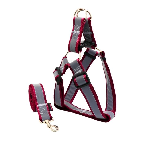 قلاده کتفی نژاد بزرگ شبرنگ همراه با لید