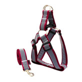 قلاده کتفی نژاد بزرگ شبرنگ همراه با لید