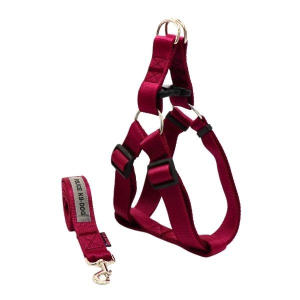 قلاده سگ نژاد بزرگ ضد حساسیت