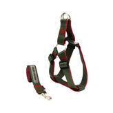 قلاده محکم برای سگ هاب نژاد بزرگ