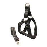 قلاده سگ نژاد بزرگ با قفل محکم