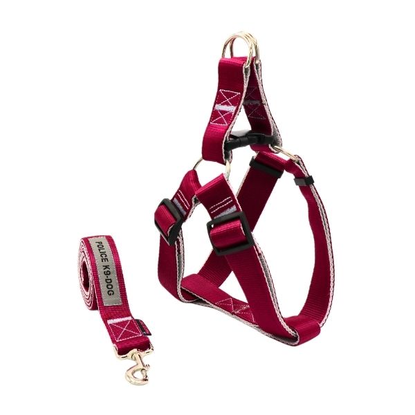 قلاده محکم برای سگ نژاد بزرگ با طراحی راحت