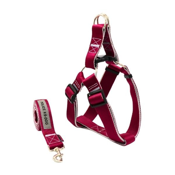 قلاده محکم برای سگ نژاد بزرگ با طراحی راحت