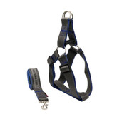 قلاده سگ نژاد بزرگ برای تمرین و ورزش