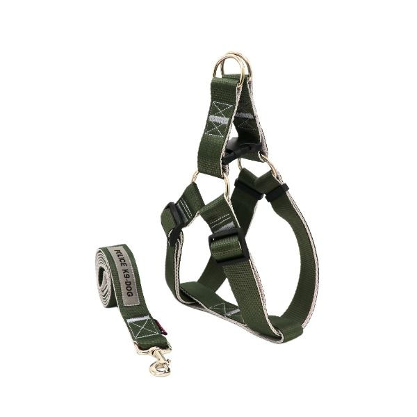 قلاده سگ نژاد بزرگ با جنس مرغوب و محکم