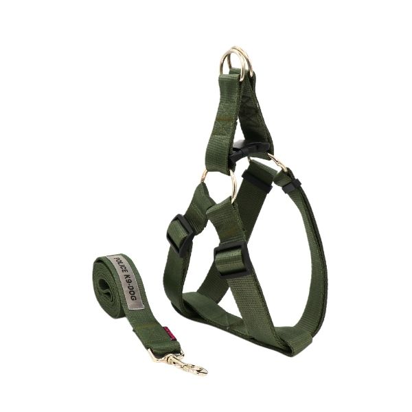 قلاده سگ نژاد بزرگ برای پیاده روی طولانی