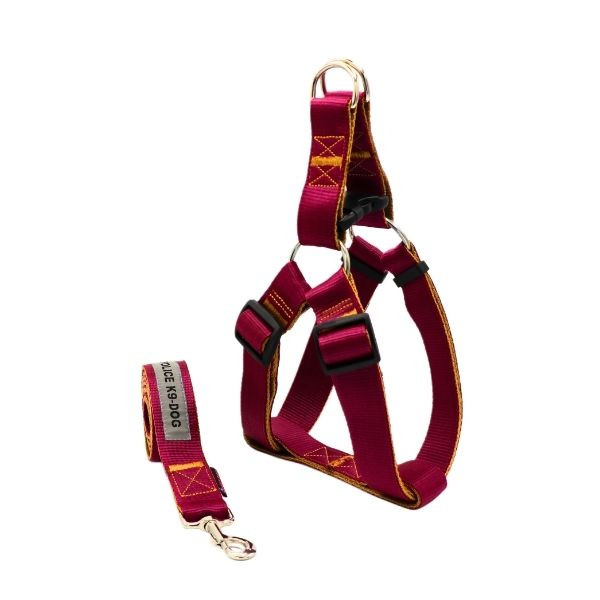 قلاده نواری دو لایه مناسب برای سگ های فعال