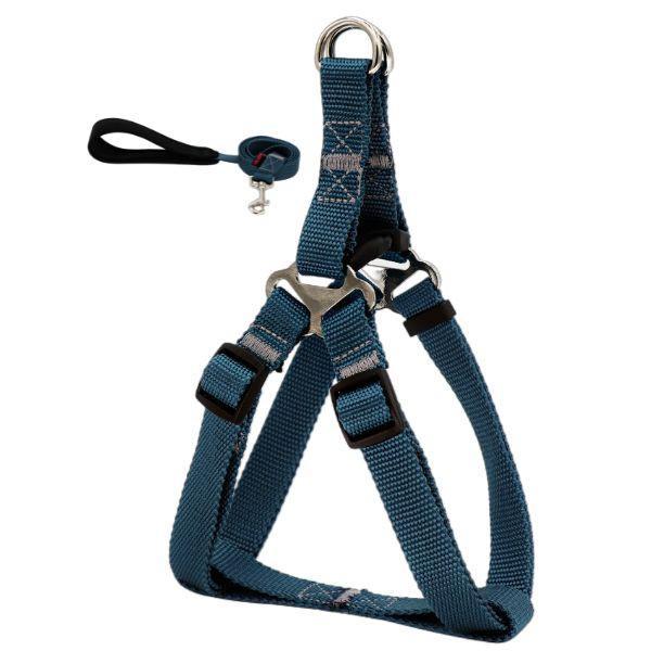 ست لید و قلاده کتفی با نوار شاین برای نژاد متوسط مناسب پیاده روی روزانه