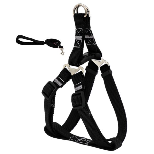 ست لید و قلاده کتفی با نوار شاین برای نژاد متوسط