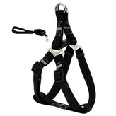 ست لید و قلاده کتفی با نوار شاین برای نژاد متوسط