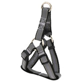 قلاده سگ با لیش مدل شبرنگ مناسب نژاد کوچک قیمت مناسب