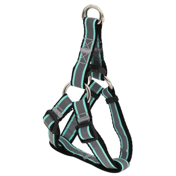 قیمت قلاده کتفی شبرنگ نژاد کوچک با کیفیت