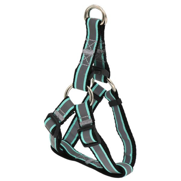 قیمت قلاده کتفی شبرنگ نژاد کوچک با کیفیت