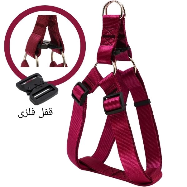 قلاده نژاد بزرگ همراه با لید