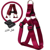 قلاده نژاد بزرگ همراه با لید