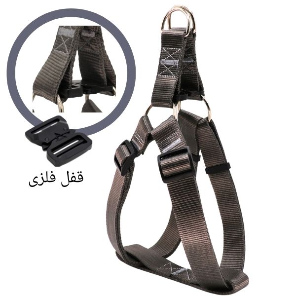 بهترین قلاده سگ مناسب سگ نژاد بزرگ