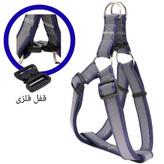 نژاد بزرگ قفل فلزی