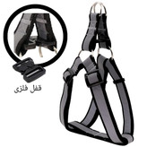 خرید قلاده سگ برای نژاد بزرگ