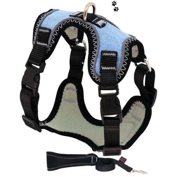 قلاده هارنس تنی مدل چیکو شبرنگ دار جذاب طرح جین