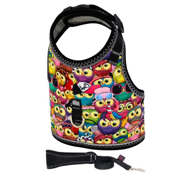 خرید قلاده تنی با لیش