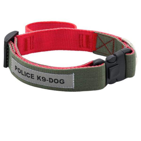 قلاده گردنی همراه با دسته هم قدم