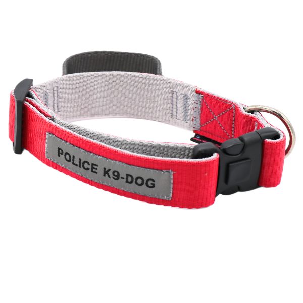 قلاده گردنی برای آموزش