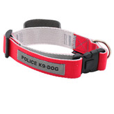 قلاده گردنی برای آموزش