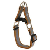 قلاده گردنی شبرنگ با طرح و رنگ مختلف