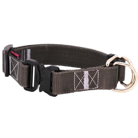 قیمت قلاده گردنی با کیفیت