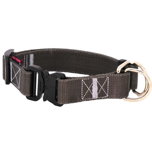 قیمت قلاده گردنی با کیفیت