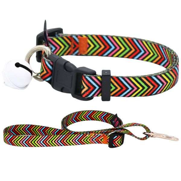 قلاده و لید نژاد کوچک