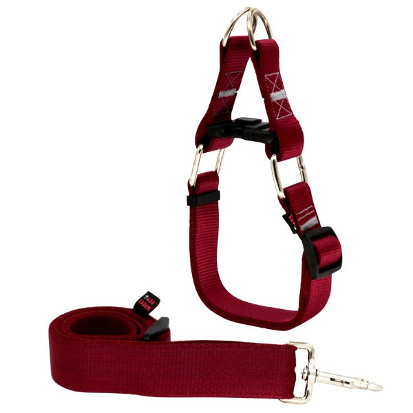 قلاده گردنی سگ چارلی همراه با لیش برای نژاد بزرگ