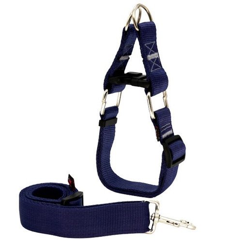 قلاده گردنی سگ چارلی همراه با لید برای نژاد بزرگ