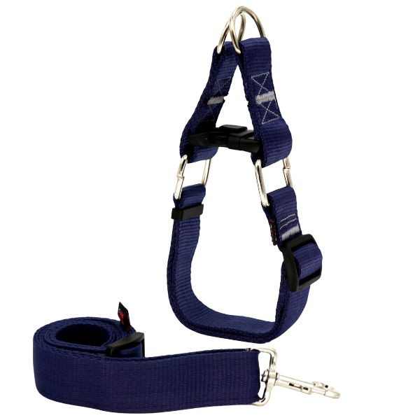 قلاده گردنی سگ چارلی همراه با لید برای نژاد بزرگ