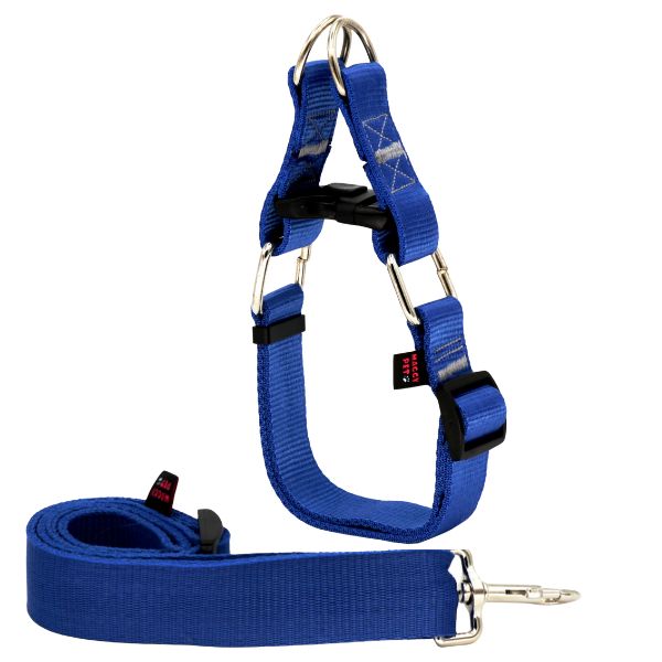 خرید آنلاین قلاده نژاد بزرگ