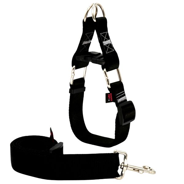 خرید قلاده سگ نژاد بزرگ