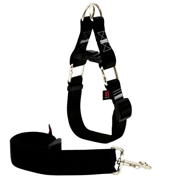 خرید قلاده سگ نژاد بزرگ