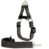 قلاده گردنی نژاد بزرگ مناسب استفاده روزانه