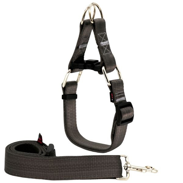 قلاده گردنی نژاد بزرگ مناسب استفاده روزانه