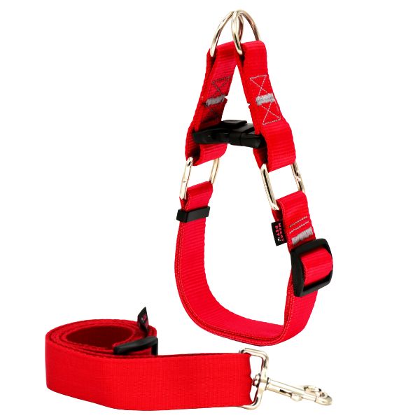 قلاده نژاد بزرگ مگی پت