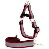 لید و قلاده سگ مدل گردنی چارلی نژاد بزرگ شبرنگ