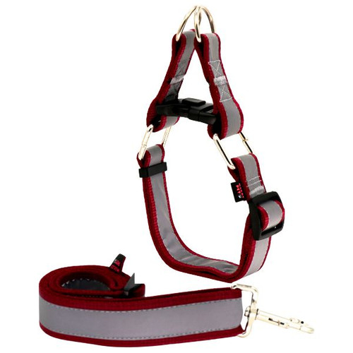 لید و قلاده سگ مدل گردنی چارلی نژاد بزرگ شبرنگ