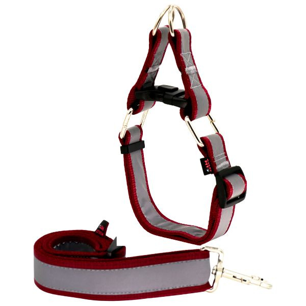 لید و قلاده سگ مدل گردنی چارلی نژاد بزرگ شبرنگ